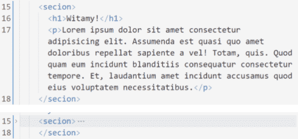 zwinięcie części kodu zwanego regionem w vsc
